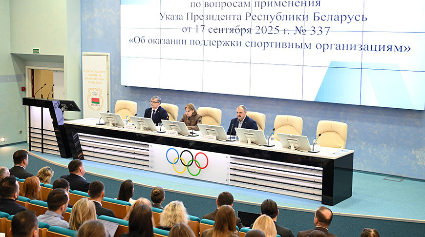 Механизм поддержки спортивных организаций обсудили в НОК