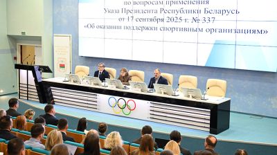 Механизм поддержки спортивных организаций обсудили в НОК