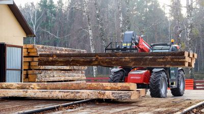 Производства по выпуску поддонов намерены наладить в Дрогичинском и Лунинецком лесхозах
