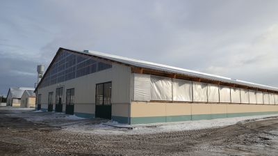 Обновленный молочно-товарный комплекс с уникальными конструкциями введен в строй в Петриковском районе