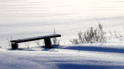 Снежный зимний день в Гомельском районе