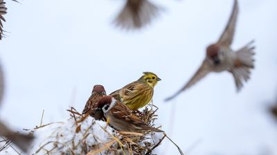 Зимний день в Докшицком районе