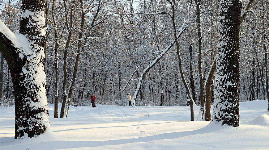 Морозный зимний день в Гомеле