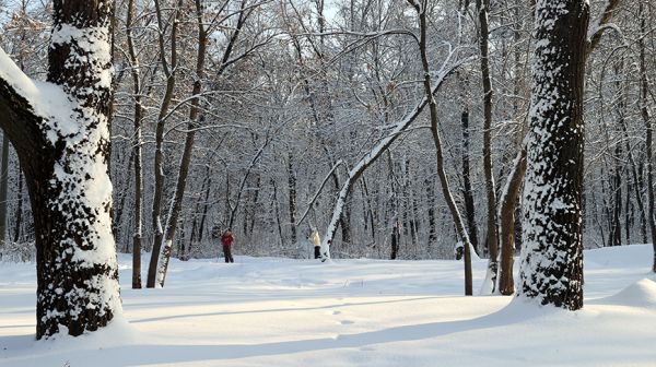 Морозный зимний день в Гомеле