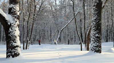 Морозный зимний день в Гомеле