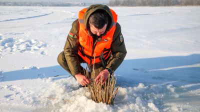 Сделаем лунки - спасем рыбу от замора. На водохранилище "Дрозды" провели замеры уровня кислорода в воде