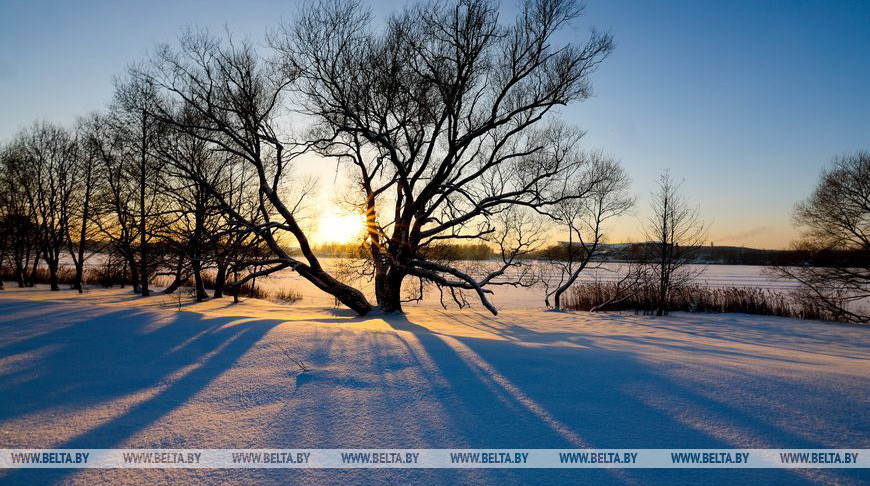 Зимняя сказка на водохранилище Дрозды - в объективе фотографа БЕЛТА