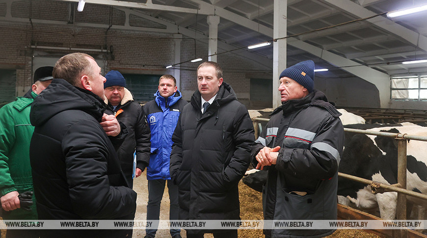 Как содержат телят в МТК "Лошница"? Хозяйство проверил премьер-министр