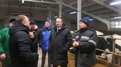 Как содержат телят в МТК "Лошница"? Хозяйство проверил премьер-министр