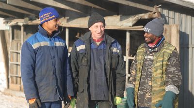 "Счастливы работать и зарабатывать". Как африканские парни трудятся на ферме в Лидском районе 