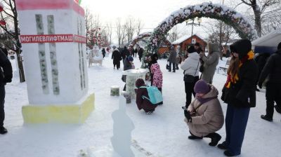 Сказка из снега и льда. В Могилеве прошел конкурс снежных и ледяных фигур