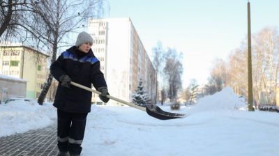 "Откроешь книгу и уже не помнишь, сколько ты дорожек перечистил". Дворник из Солигорска о любви к профессии и источниках силы
