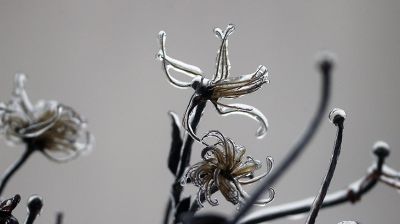 Стеклянный дождь в Гродно