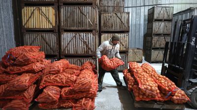Как в Гродненской области хранят и реализуют плодоовощную продукцию