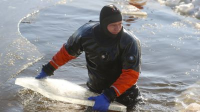 В Бресте расчищают полыньи для зимующих птиц