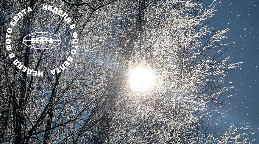 ЛУЧШИЕ ФОТО НЕДЕЛИ ПО ВЕРСИИ БЕЛТА 