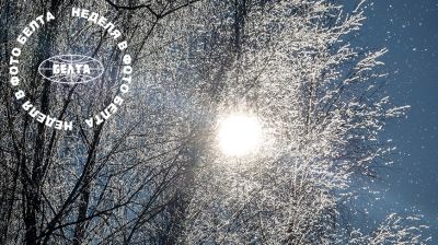 ЛУЧШИЕ ФОТО НЕДЕЛИ ПО ВЕРСИИ БЕЛТА 