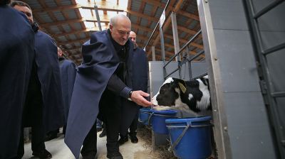 Лукашенко посетил МТК в Логойском районе