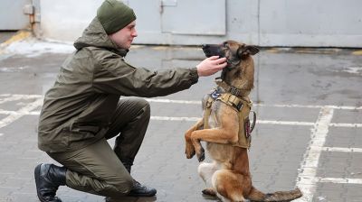 Здесь человек и собака понимают друг друга "с первого взгляда". Как несут службу кинологи в Бобруйском отделе Департамента охраны