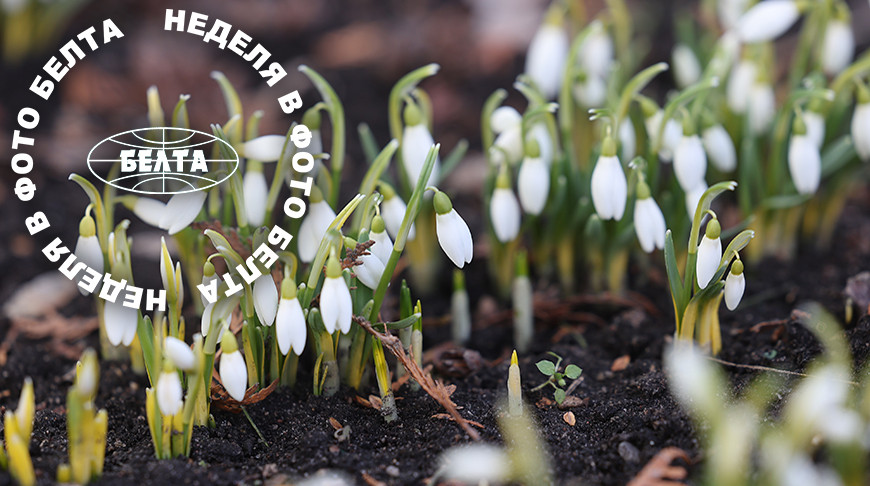 ЛУЧШИЕ ФОТО НЕДЕЛИ ПО ВЕРСИИ БЕЛТА