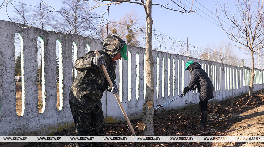 Акция "Лес! Дабро! Парадак!" стартовала в Беларуси