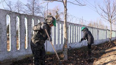 Акция "Лес! Дабро! Парадак!" стартовала в Беларуси