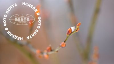 ЛУЧШИЕ ФОТО НЕДЕЛИ ПО ВЕРСИИ БЕЛТА