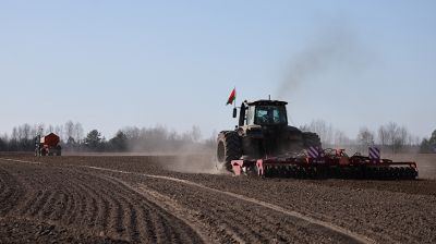 В Минской области весенний сев начали с ярового ячменя
