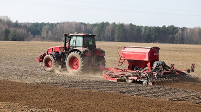 Механизаторы в Мостовском районе начали сев гороха 