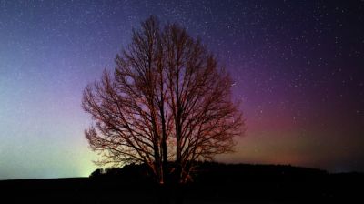 Полярное сияние в небе над Беларусь в объективе фотографа БЕЛТА