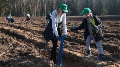 Члены Совета Республики приняли участие в акции "Лес! Дабро! Парадак!" в Столбцовском районе