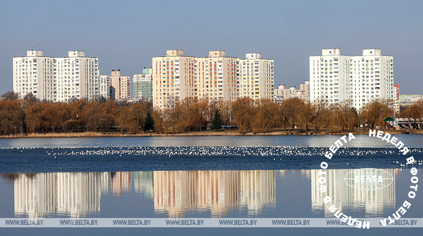ЛУЧШИЕ ФОТО НЕДЕЛИ ПО ВЕРСИИ БЕЛТА