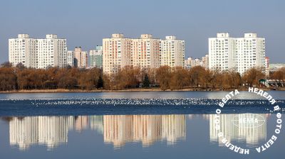 ЛУЧШИЕ ФОТО НЕДЕЛИ ПО ВЕРСИИ БЕЛТА
