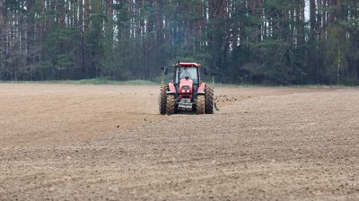 В Могилевском районе стартовал сев селекционных образцов льна-долгунца