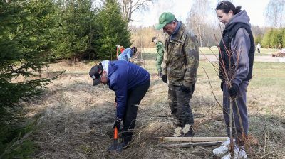 Республиканский субботник: коллектив Администрации Президента принял 
участие в благоустройстве мемориального комплекса и посадке леса