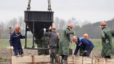 Республиканский субботник: в Дрибинском районе строили профилакторий для телят 