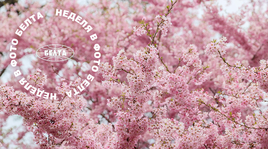 ЛУЧШИЕ ФОТО НЕДЕЛИ ПО ВЕРСИИ БЕЛТА