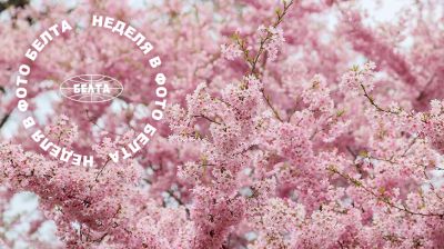 ЛУЧШИЕ ФОТО НЕДЕЛИ ПО ВЕРСИИ БЕЛТА