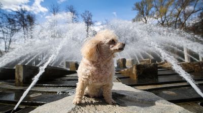 В Минске стартовал сезон фонтанов