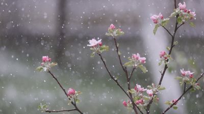 Мокрый снег выпал в Гродно и Бресте