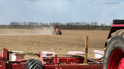 В Быховском районе активно сеют кукурузу на зерно