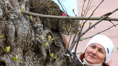 Минск. Прогулка по старым кварталам