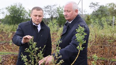Пархомчик посетил фермерские хозяйства в Каменецком и Брестском районах