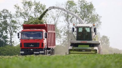 Организацию работ по заготовке травяных кормов обсудили на семинаре в Брестском районе