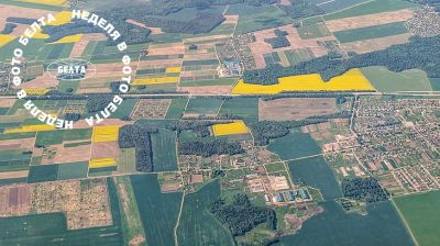 ЛУЧШИЕ ФОТО НЕДЕЛИ ПО ВЕРСИИ БЕЛТА