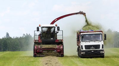 Пятую часть трав первого укоса убрали на полях Быховского района