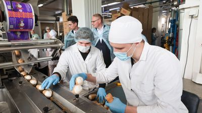 В Минске провели мониторинг работы студотряда 