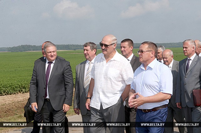 Лукашенко ознакомился с ходом уборочной кампании в Минской области