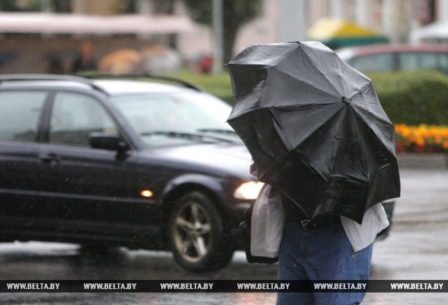 Южный циклон с дождем и ветром пришел в Беларусь