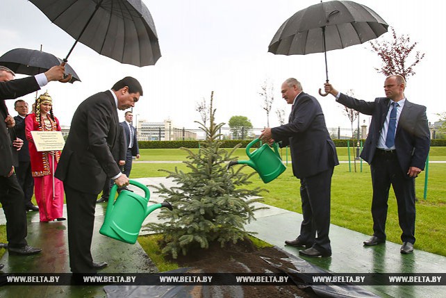 Бердымухамедов посадил дерево на Аллее почетных гостей у Дворца Независимости